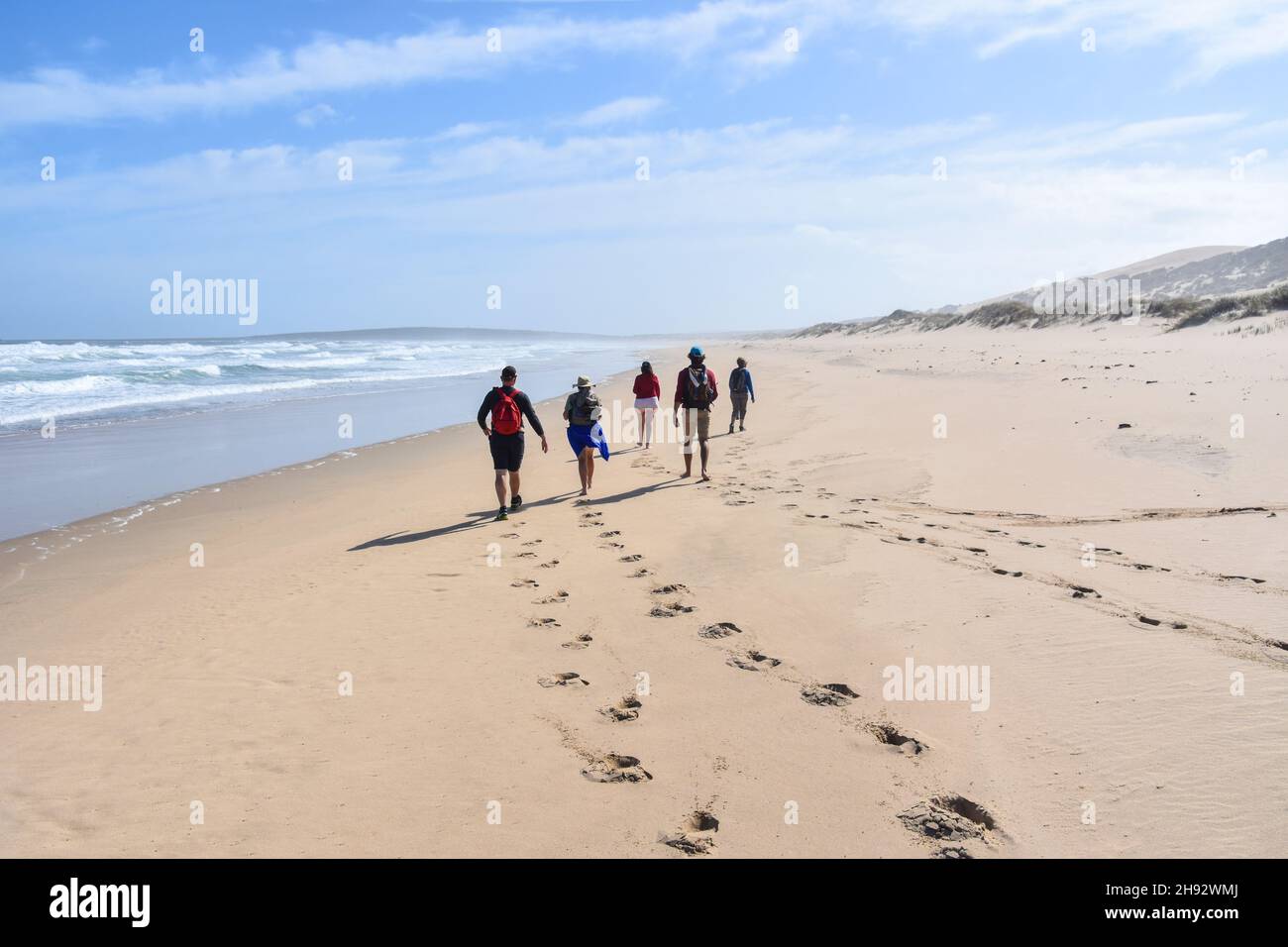 Camminatori energici sulla spiaggia vicino all'Oceano Indiano visto dal sentiero del catcher Oyster vicino a Mosselbay sulla strada del giardino in Sudafrica popolare spirito Foto Stock