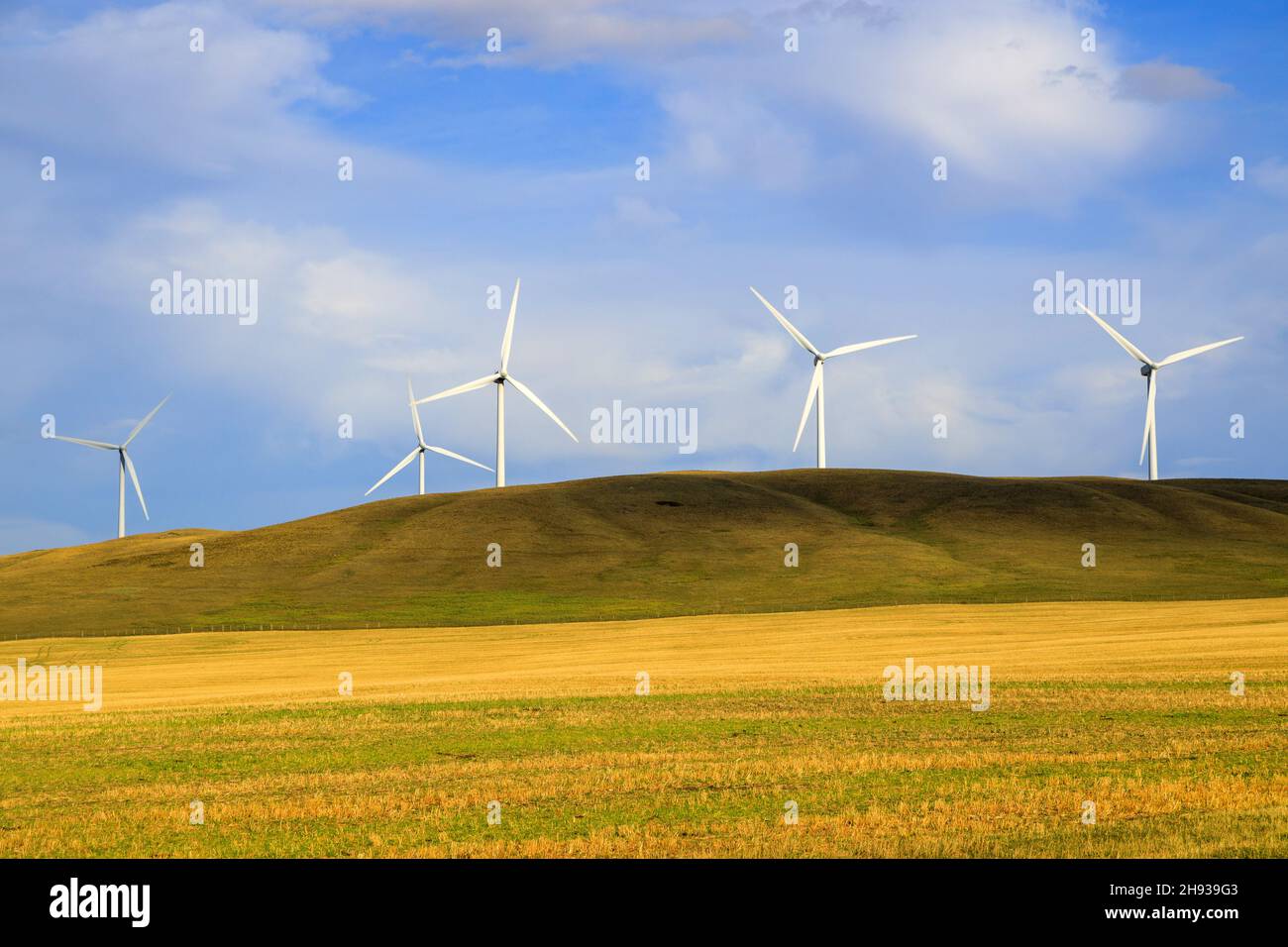 L'energia eolica o eolica è l'uso di turbine eoliche per generare elettricità. L'energia eolica è una fonte energetica popolare, sostenibile e rinnovabile. Foto Stock