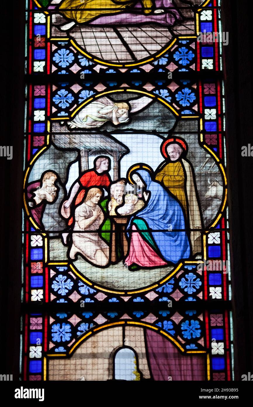 Vetrata, Saint-Corentin cattedrale, città di Quimper, departament di Finisterre, regione della Bretagna, Francia Foto Stock