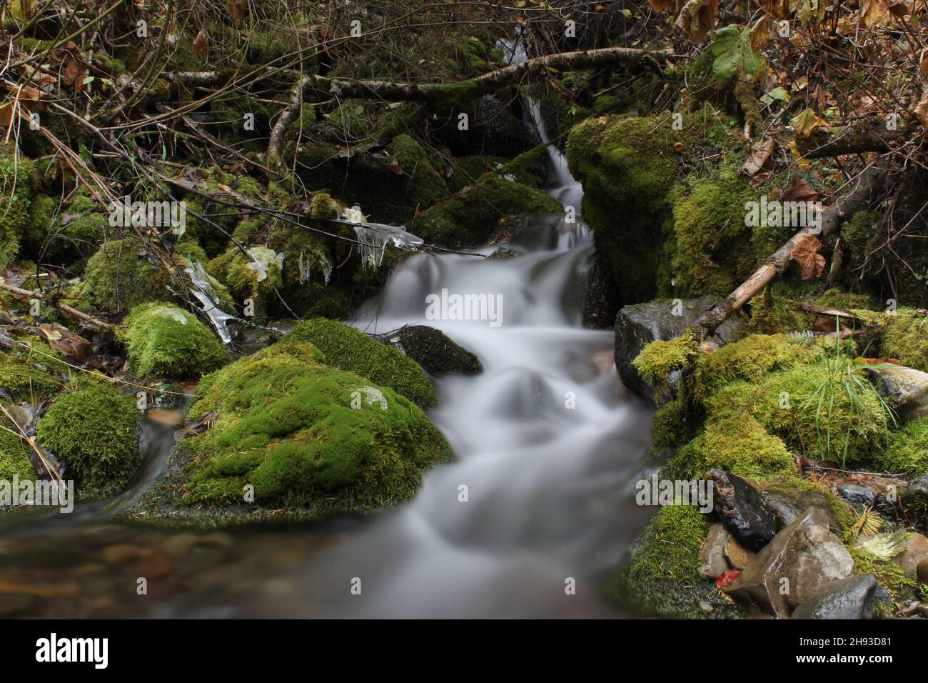 Cascate di Small Creek nella Columbia Britannica sudorientale. Foto Stock