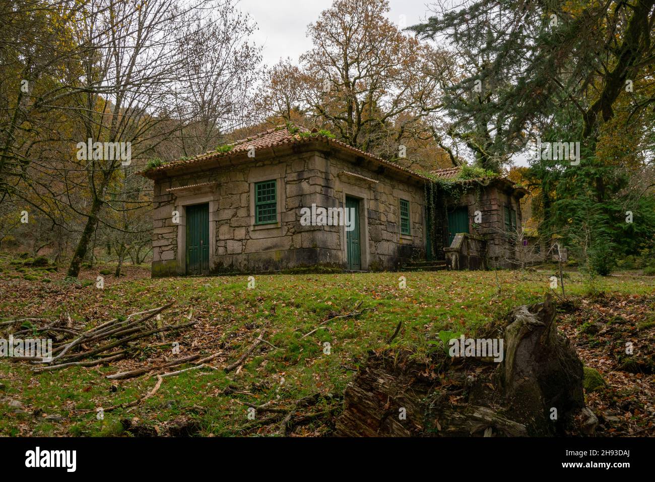 Mata da Albergaria, parque nacional da Peneda Gerês nel Portogallo settentrionale. Parco Nazionale di Gerês, Forrest protetto. Trekking e passeggiate all'aperto. Portogallo Foto Stock