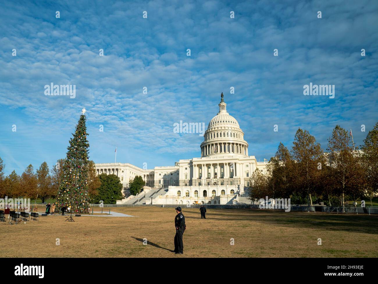 Washington, Stati Uniti d'America. 01 dicembre 2021. L'albero di Natale del Campidoglio degli Stati Uniti contro la cupola prima della cerimonia di illuminazione sul prato occidentale del Campidoglio 1 dicembre 2021 a Washington, DC. L'albero è un White Fir alto 84 metri dalla Six Rivers National Forest in California. Credit: Tanya e Flores/USFS/Alamy Live News Foto Stock