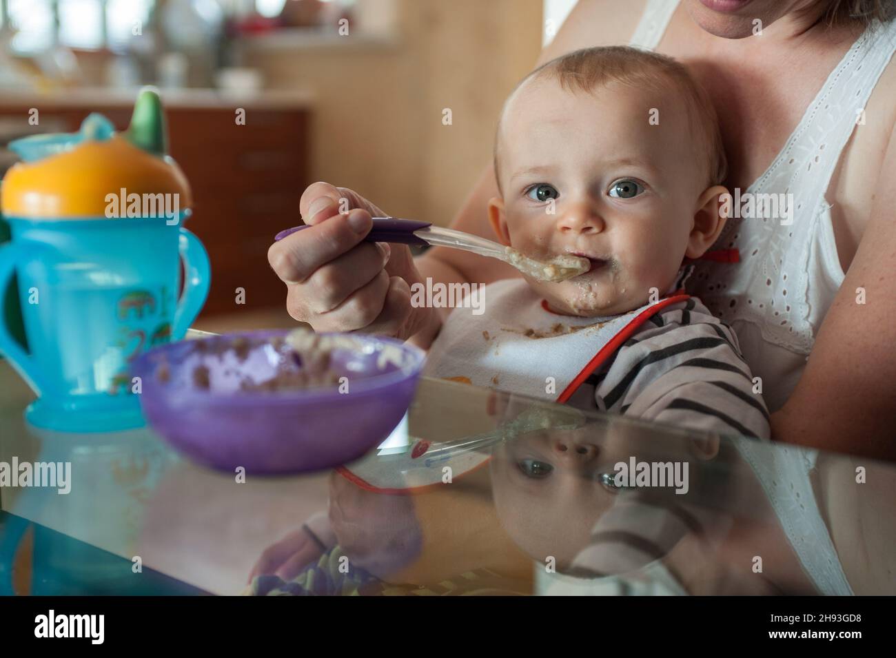 Una bambina (ca. 10 mesi) è stato cucchiaio alimentato la sua colazione in grembo di sua madre. Foto Stock