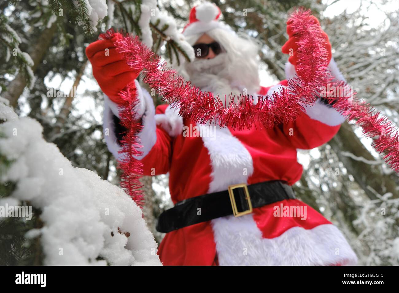 Guanti Santa e Tinsel. Natale holidays.Babbo Natale decora un albero di  Natale nella foresta invernale Foto stock - Alamy