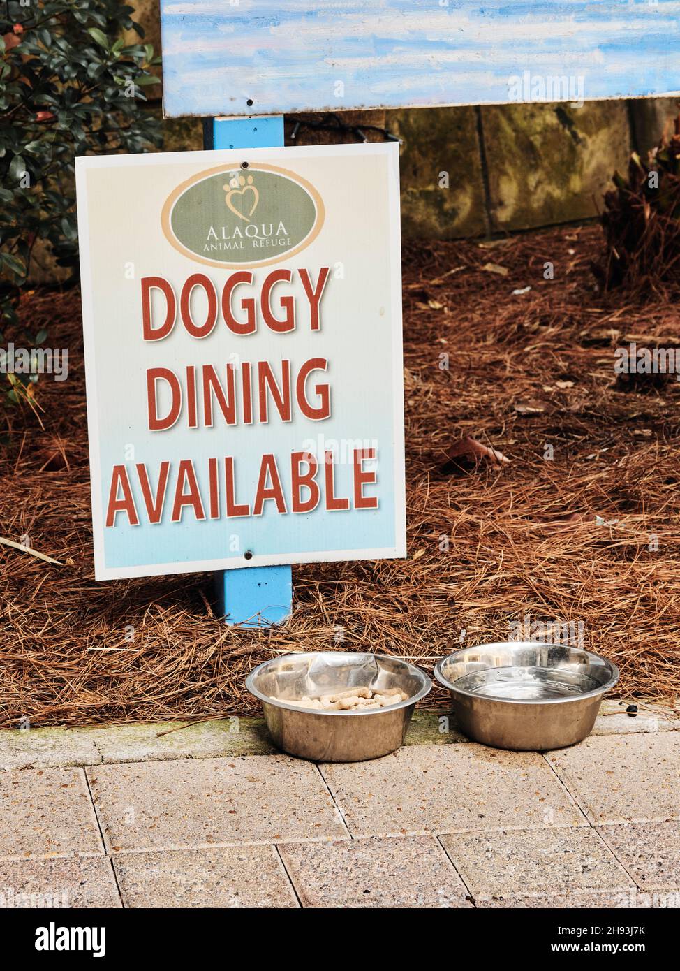 Cena con cani e animali domestici disponibile, insegna per cani e un boccale di delizia e una ciotola d'acqua presso un ristorante a Destin, Florida, USA. Foto Stock