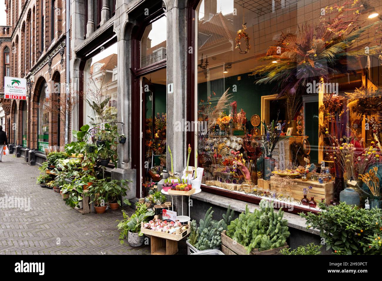 Una vetrina fiorista in un giorno d'autunno a l'Aia, Paesi Bassi. Foto Stock