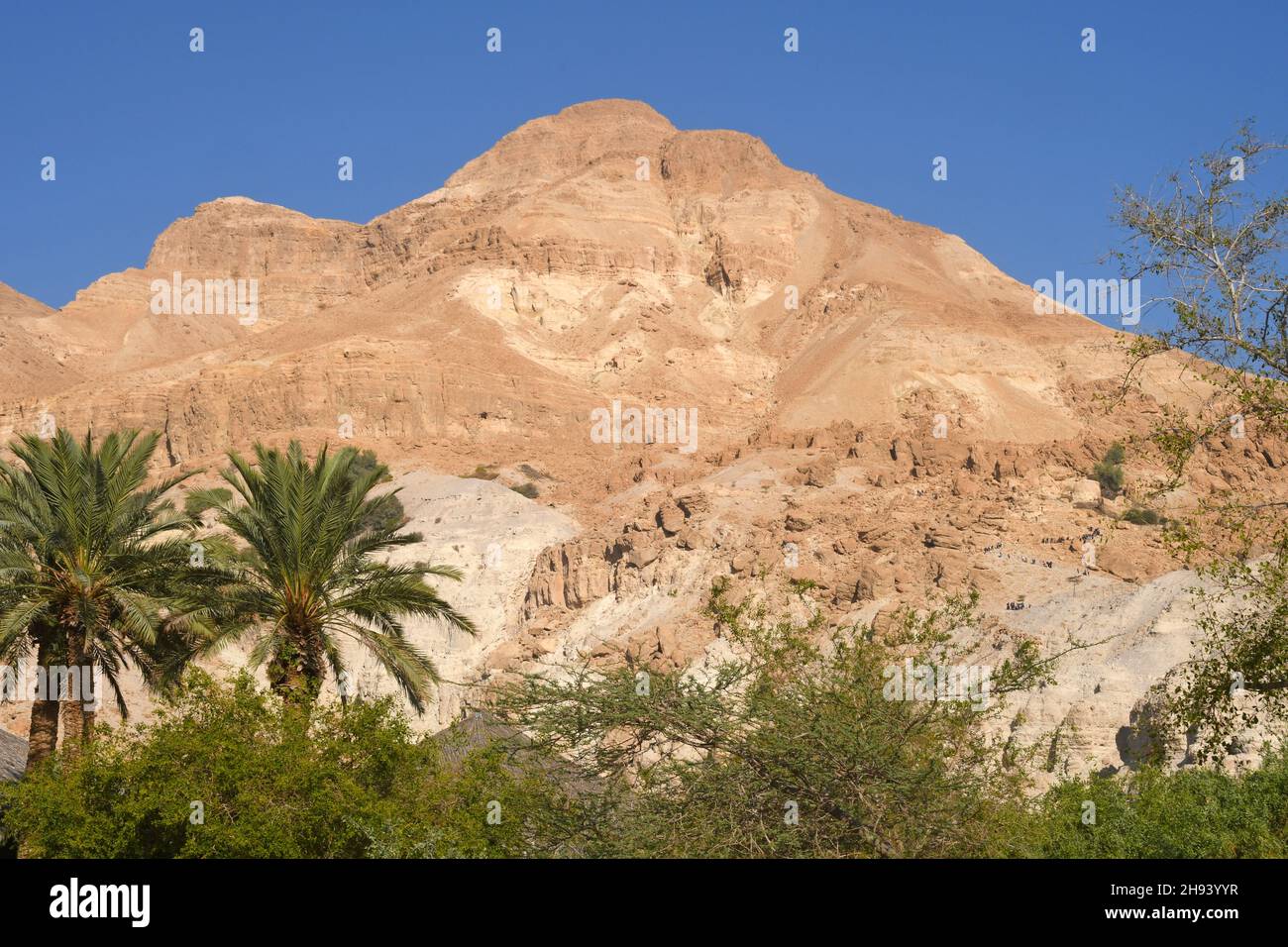 Ein Gedi montagne nel deserto della Giudea, Israele Foto Stock