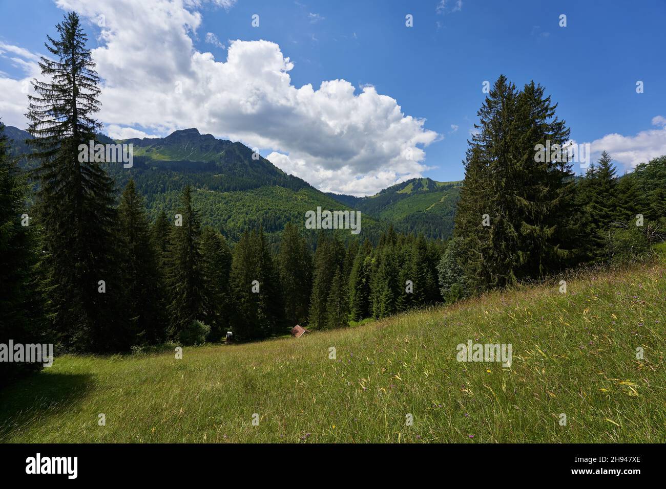 Tannheimer testa di camoscio di montagna, sentiero con ciottoli luminosi conduce verso un alto landform, cielo blu con nuvole bianche. Baviera, Pfronten. Foto Stock