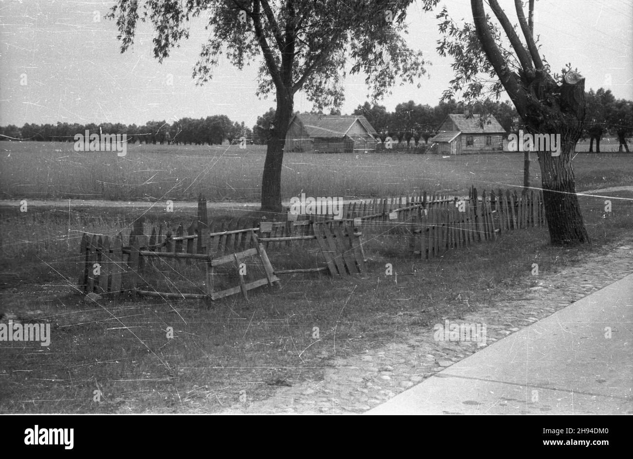 Polska, 1947-07. Cmentarz Armii Czerwonej. NZ. Przydro¿uno mogi³y ¿o³nierzy radzieckich. ps/gr PAP Dok³adny dzieñ wydarzenia nieustalony. Grady, luglio 1947. Cimitero dell'esercito rosso. Nella foto: Tombe a bordo strada di soldati sovietici. ps/gr PAP Foto Stock