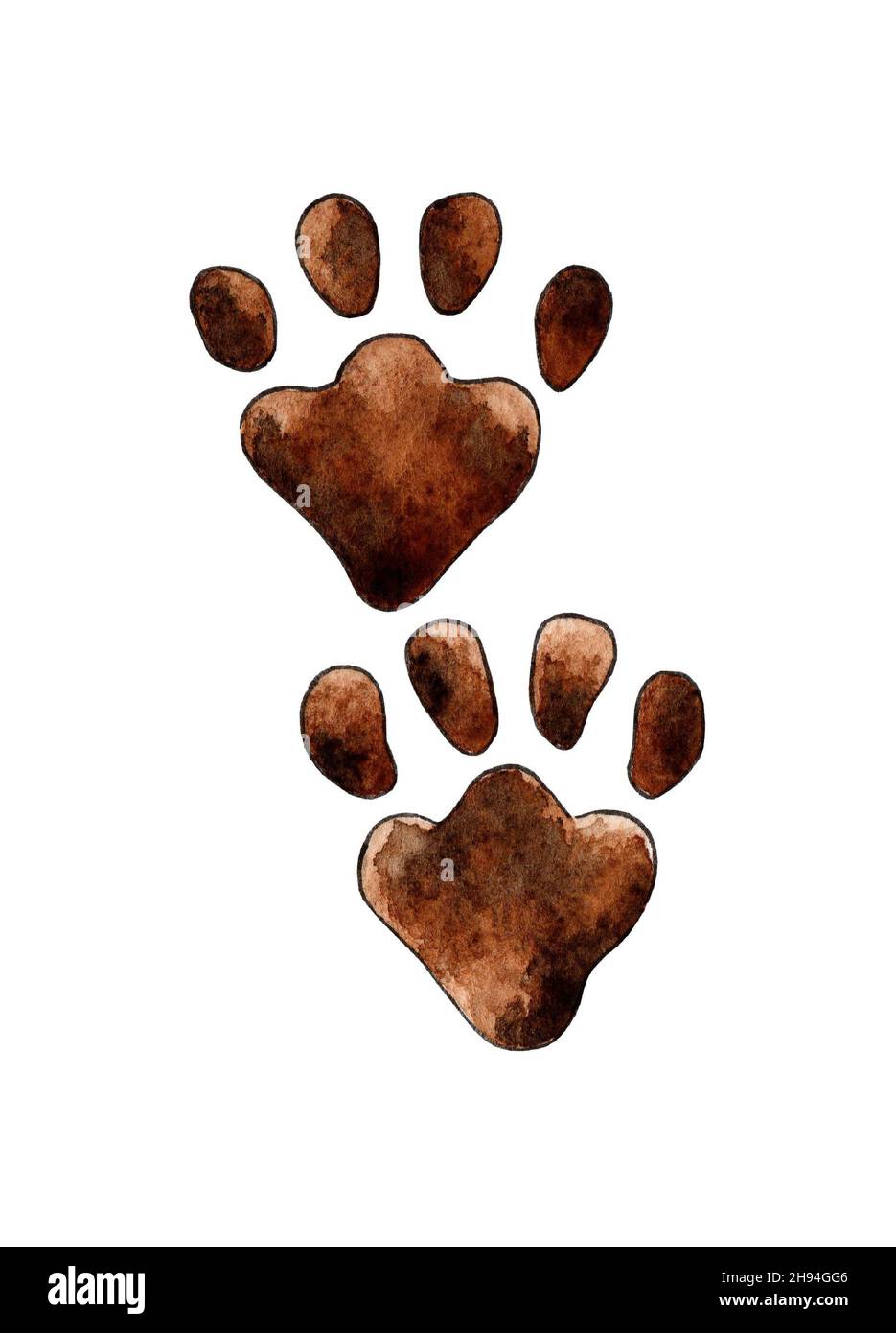 Pittura ad acquerello di stampe di zampe animali. Elemento animale carino per decorazione, disegno, progetti artigianali, scrapbooking, tag animali. Isolato su fondo bianco Foto Stock