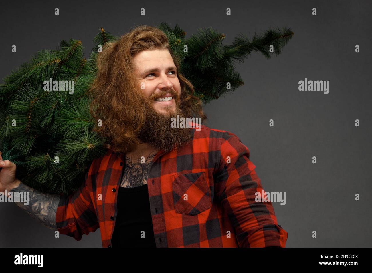 bell'uomo con capelli lunghi che reggono un albero sintetico di natale. Foto Stock