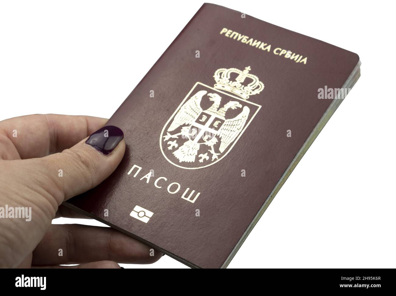 Primo piano di una mano di una persona che tiene un passaporto serbo contro uno sfondo bianco Foto Stock