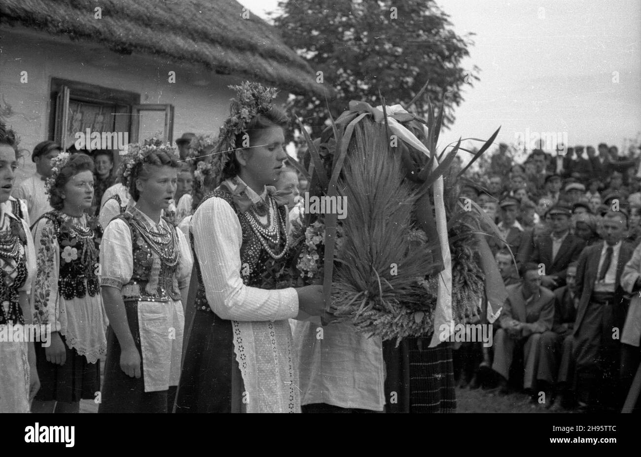 Jasieniec I³¿ecki, 1947-08. Do¿ynki - œwiêto poœwiêcone tegorocznym zbiorom zbó¿. NZ. Starosta i Staroœcina do¿ynkowi oraz dziewczêta z zespo³u ludowego wnosz¹ wieniec do¿ynkowy wykonany z k³osów zbó¿. W tle drewniany dom bielony, kryty s³om¹. bb/gr PAP Dok³adny dzieñ wydarzenia nieustalony. Jasieniec Ilzecki, agosto 1947. Una celebrazione del raccolto. Nella foto: Il caposquadra del raccolto e l'antenato e i membri di un ensamble popolare portano una corona di raccolto fatta con le orecchie di cereali. Sullo sfondo una casa in legno bianco con tetto in paglia. bb/gr PAP Foto Stock