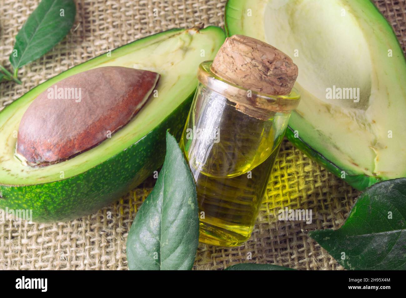 Olio di avocado in vaso e avocado con foglie verdi. Aromaterapia e spa Foto Stock