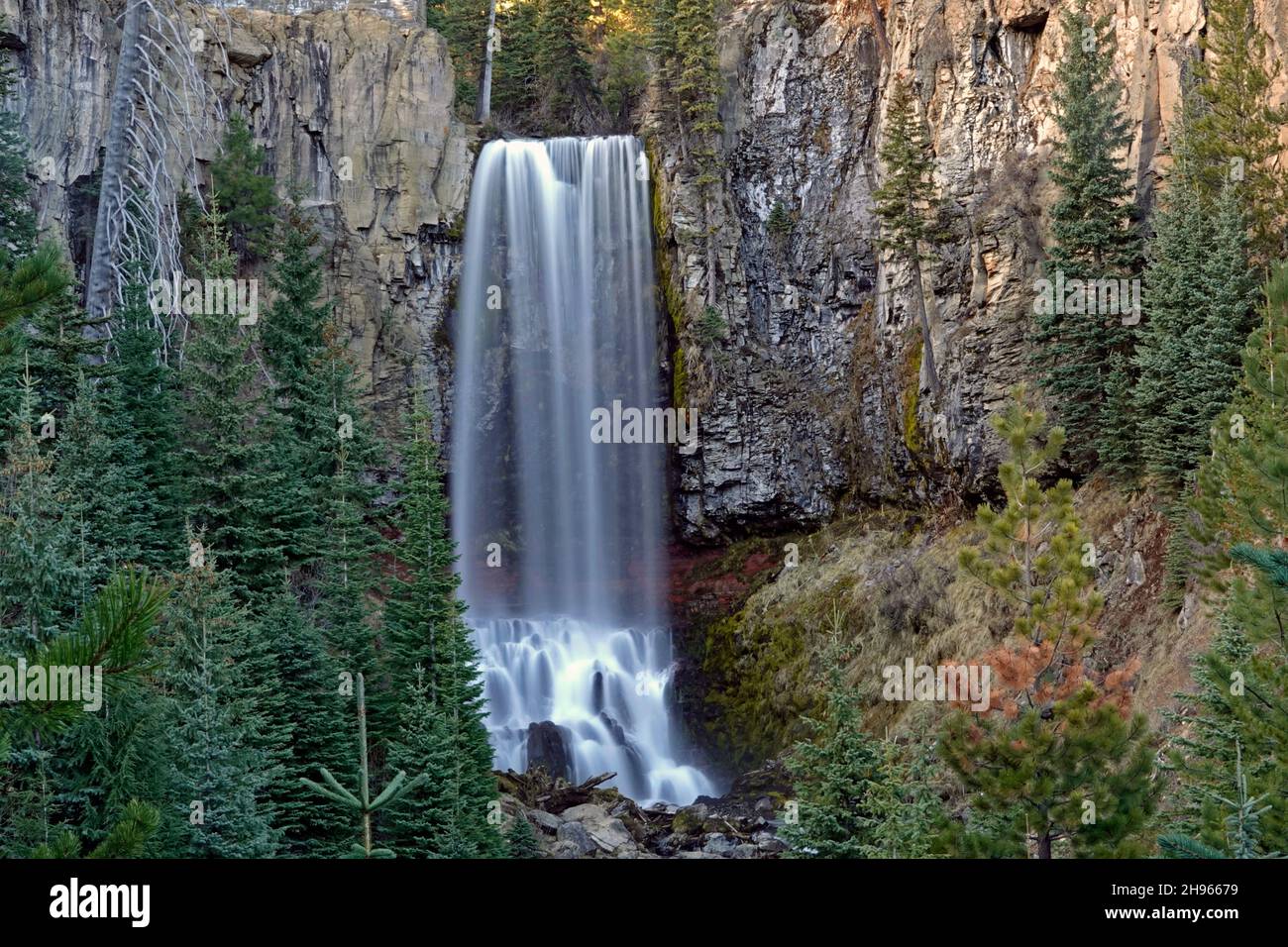 Una vista delle Cascate di Tumalo sul Tumalo Creek sul versante orientale delle Cascade Mountains vicino a Bend, Oregon. Foto Stock