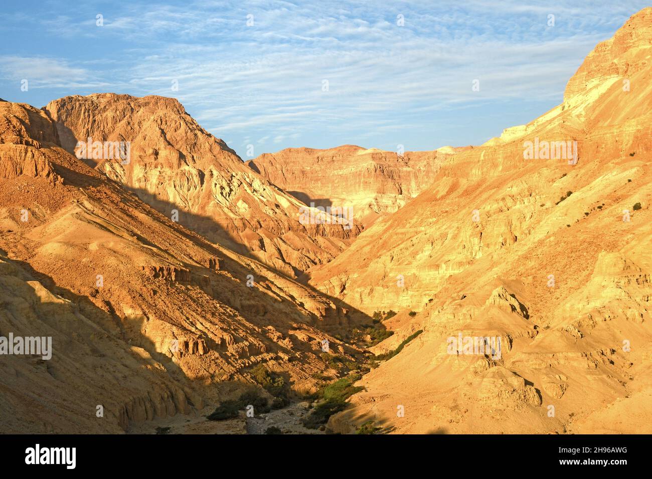 Arugot Wadi, nella Riserva Naturale di Ein Gedi, vicino al Mar Morto, Israele Foto Stock