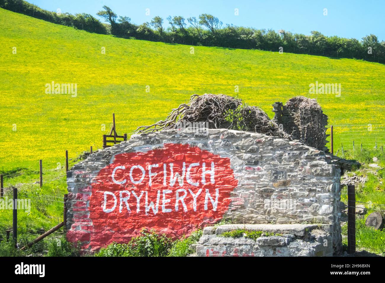 Il murale di Cofiwch Dryweryn, politico, grafitti, sul A487 vicino Llanrhystud, sud, Aberystwyth è stato ripetutamente vandalizzato.l'immagine di protesta è stata dipinta nel 1965 dopo che il villaggio di Capel Celyn vicino a Bala in Gwynedd è stato allagato per creare un serbatoio per fornire acqua a Liverpool.Cofiwch Dryweryn (inglese: 'Ricorda Tryweryn') o Y Wal Cofiwch Dryweryn è un graffiti, graffiti, graffiti, pietra, muro, vicino, Llanrhystud, Ceredigion, Galles. Cofiwch Dryweryn,West,Mid,Wales,Welsh,Independence,Welsh Independence,Nation,National,nazionalism,nazionalist,fior,passion,patriotism,Gran Bretagna, Foto Stock