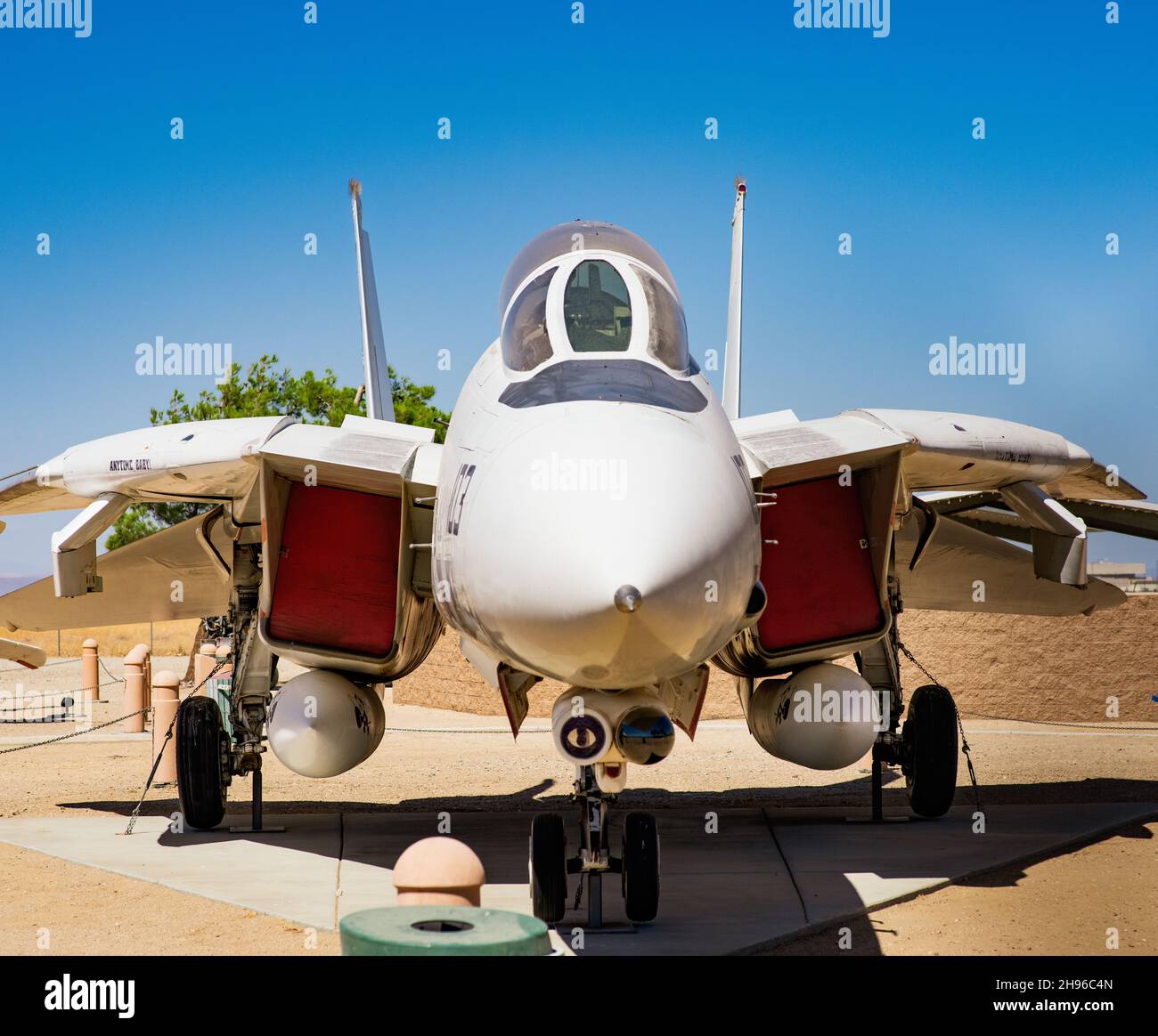 Northrop Grumman F-14 Tomcat Foto Stock