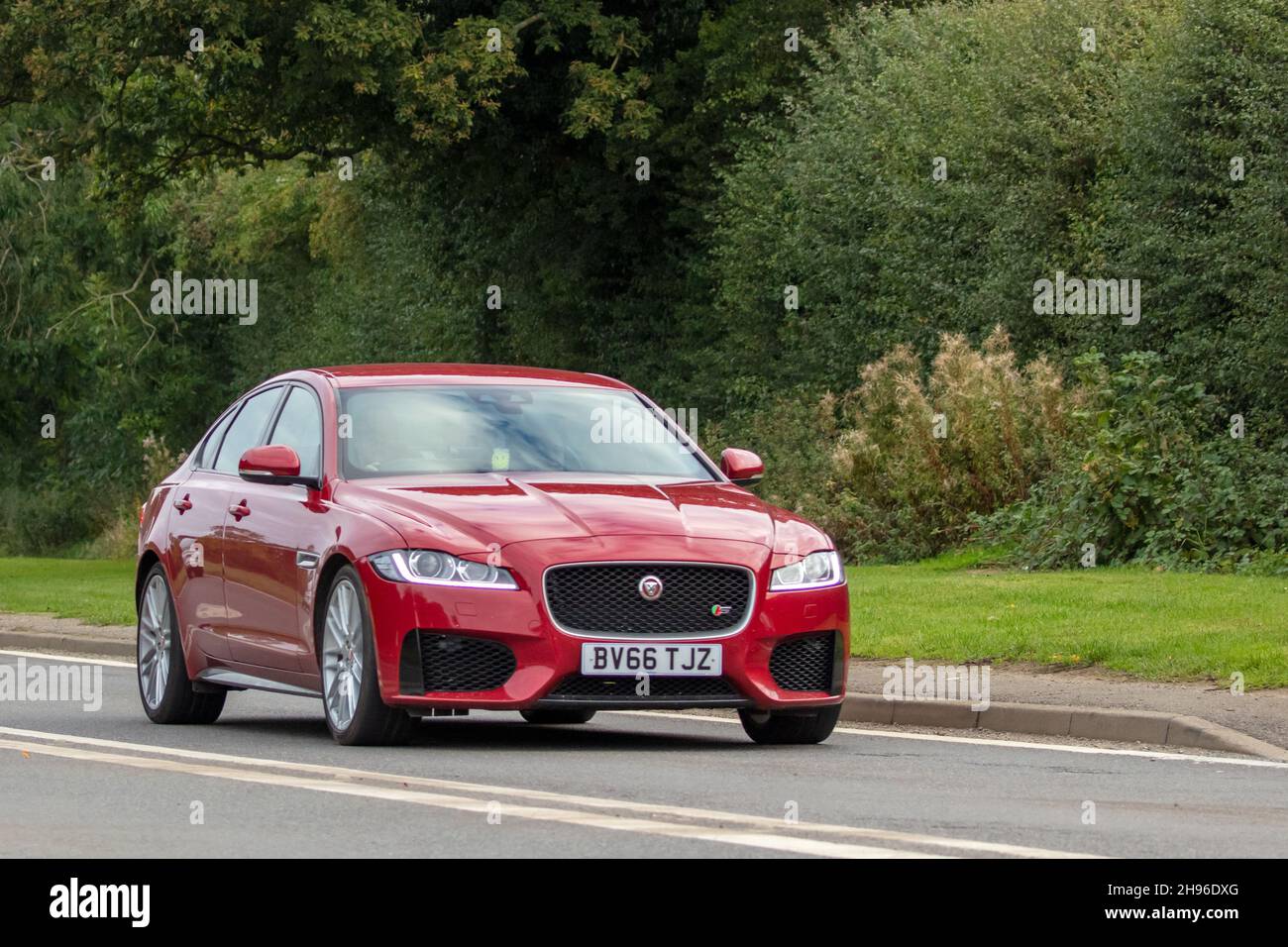 Jaguar 2016 rosso Foto Stock