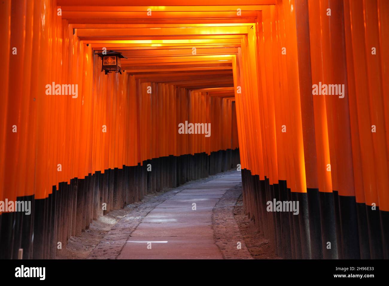 All'interno del tunnel dei Tori Gates giapponesi a Fushimi Inari Taisha , Kyoto Giappone. I cancelli sono offerte da individui, famiglie e aziende. Foto Stock