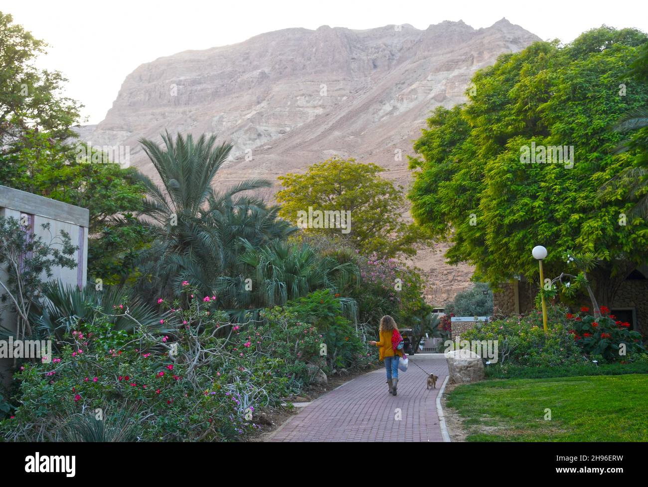 Ein Gedi - Kibbutz in Israele Foto Stock
