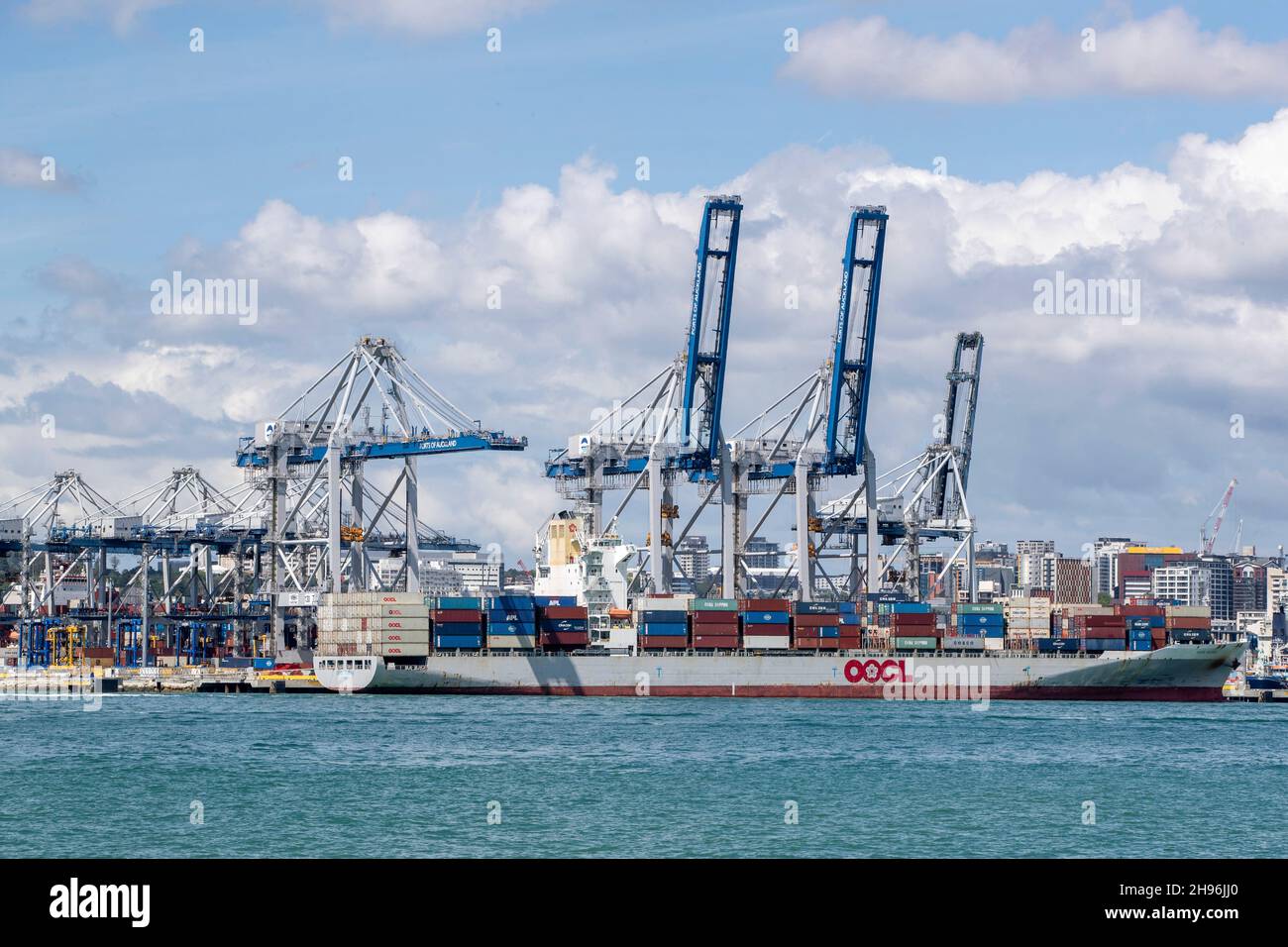 Dockyard gru scarico della nave container OOCL Busan a un molo presso i porti di Auckland in Nuova Zelanda Foto Stock