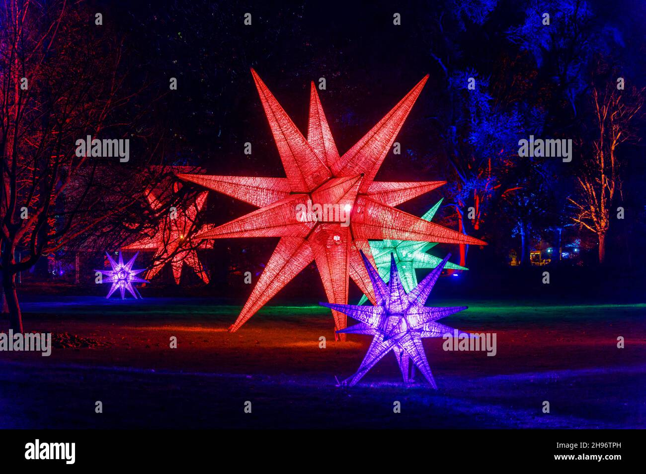 Grandi stelle illuminate multicolore al Glow 2021, l'evento annuale di luci natalizie al RHS Garden, Wisley, Woking, Surrey Foto Stock
