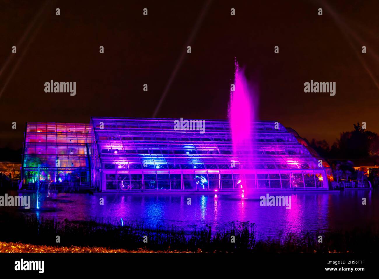 Il Glasshouse illuminato da luce blu e una fontana rosa, Glow 2021, l'evento annuale di luci natalizie al RHS Garden Wisley, Woking, Surrey Foto Stock