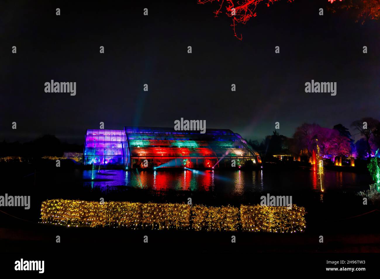 La Glasshouse illuminata con colori brillanti durante il Glow 2021, l'evento annuale di illuminazione natalizia al RHS Garden, Wisley, Woking, Surrey Foto Stock