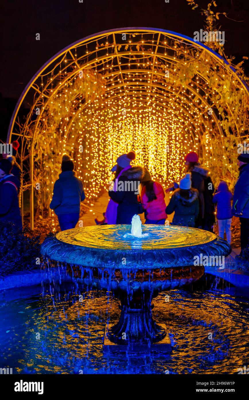 Fontana e arco con luci scintillanti al Glow 2021, l'evento annuale di luci natalizie al RHS Garden, Wisley, Woking, Surrey Foto Stock