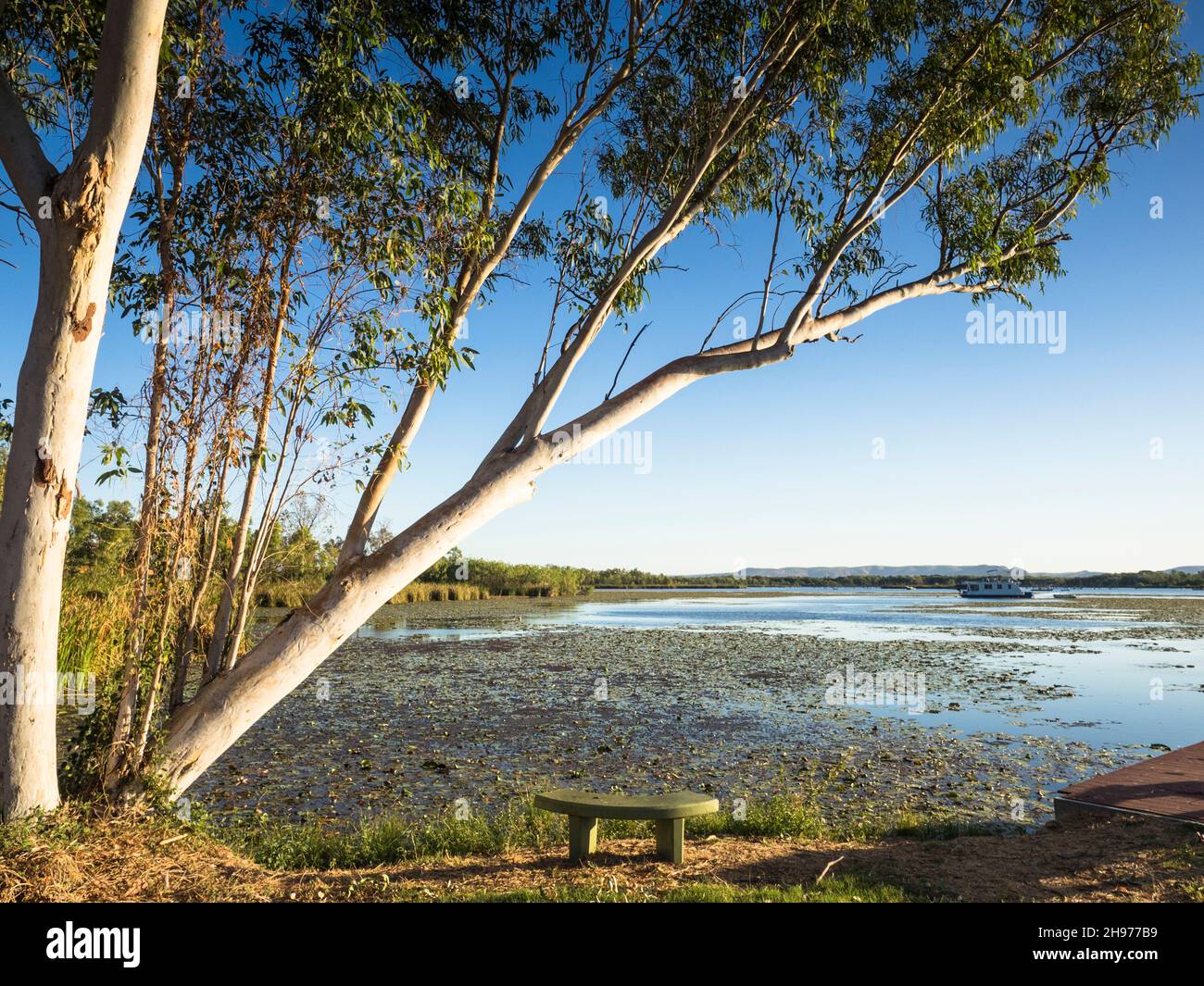 Lily Creek Lagoon, Kununurra, Kimberley Foto Stock