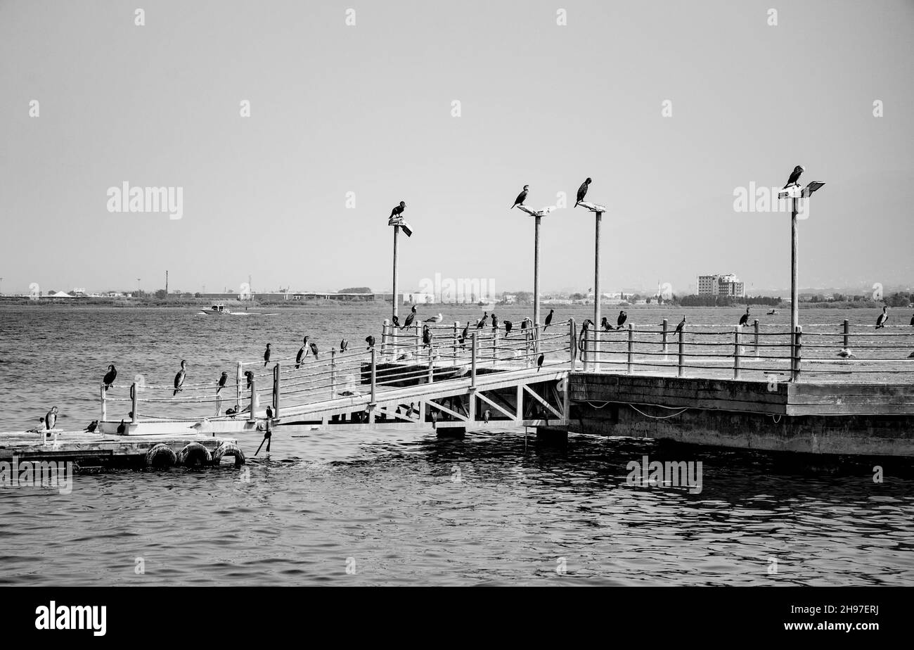 IZMIT, TURCHIA. AGOSTO 29, 2021. Molo sul lungofiume Seagulls giorno Foto Stock