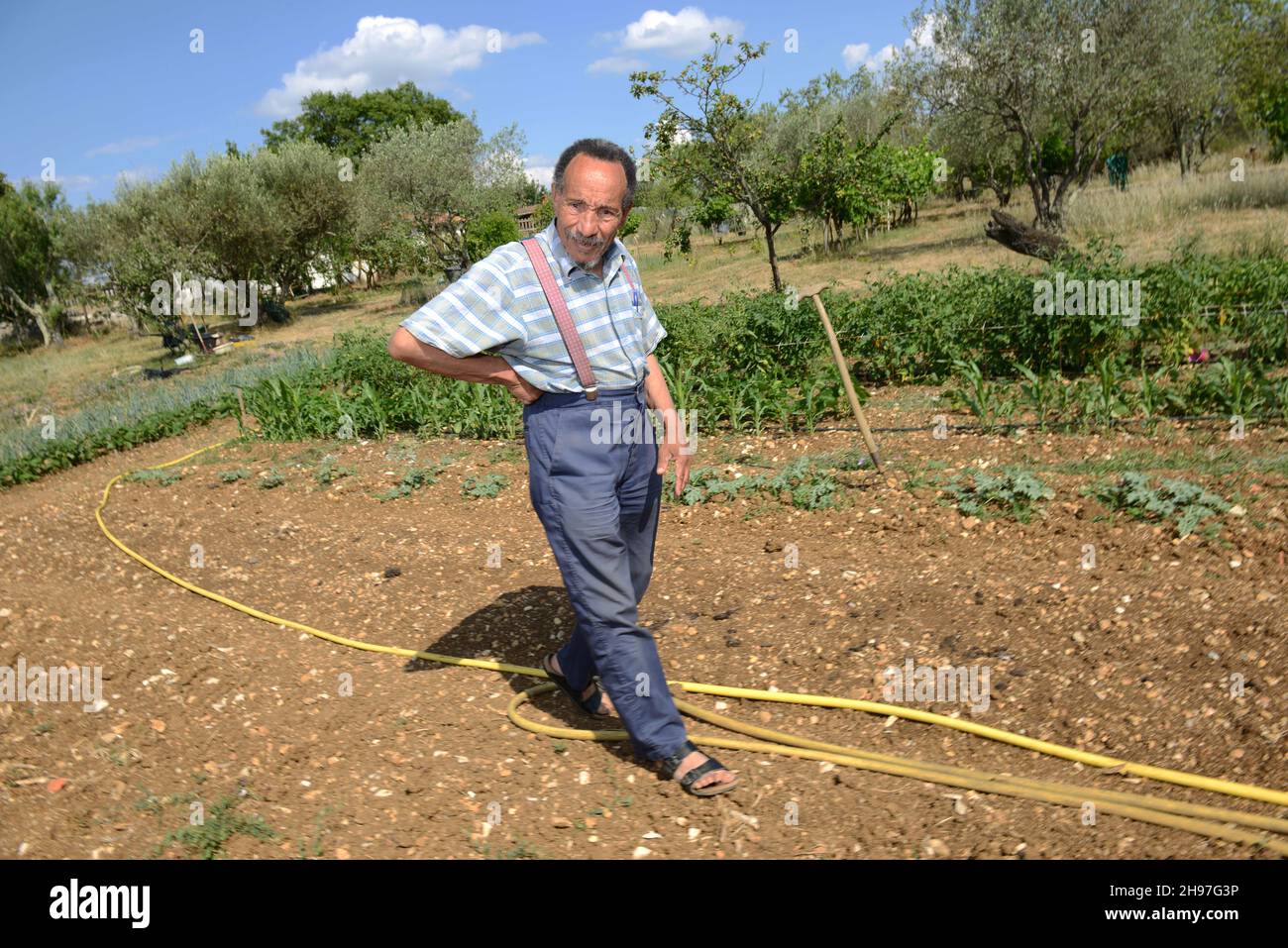 Portrait de Pierre Rabhi, philosophe, gremteur biologiste, romancier et poete franais, d'origine algerienne, inventeur du concept « Oasis en tous lieux » chez lui dans son jardin à Berrias-et-Casteljau, Francia le 23 Juin 2014. Ritratto di Pierre Rabhi, filosofo, biologo contadino, romanziere e poeta francese, di origine algerina, inventore del concetto 'Oasis in all Places' in casa nel suo giardino a Berrias-et-Casteljau, Francia il 23 giugno 2014. Foto di Soudan/ANDBZ/ABACAPRESS.COM Foto Stock