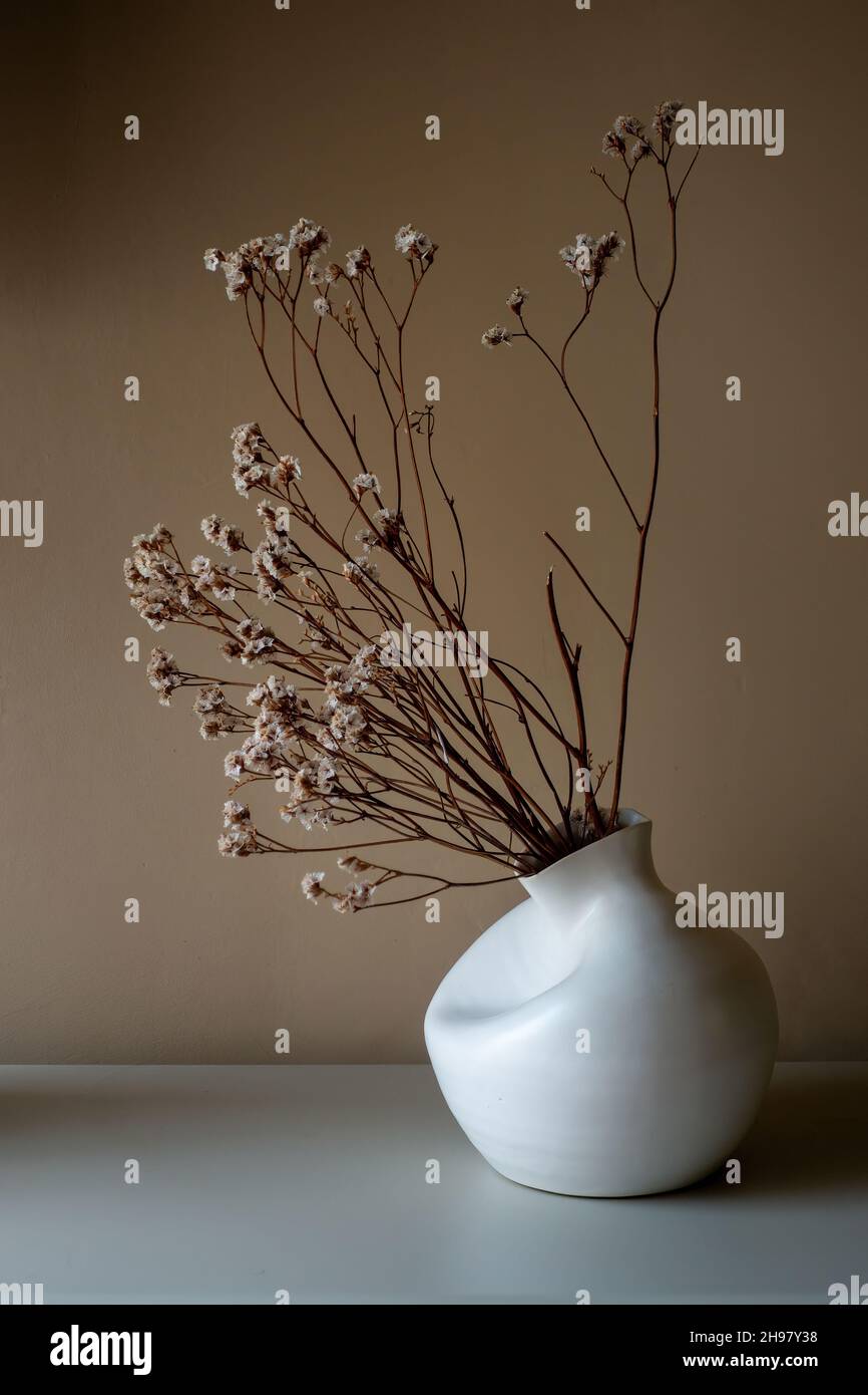 Vaso in ceramica color crema con fiori secchi morbidi Foto Stock