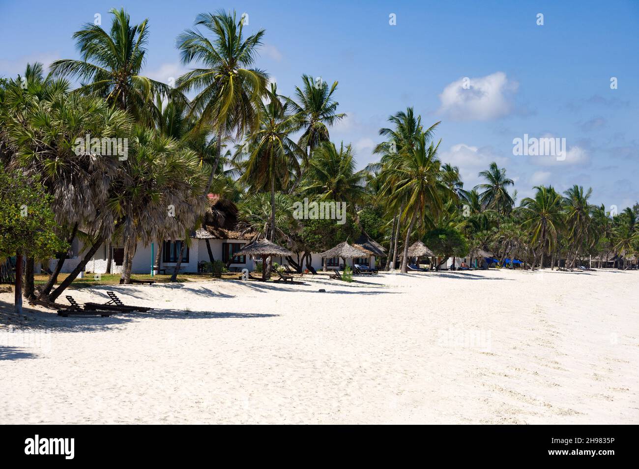 Beach Chalet tra palme presso la spiaggia in una giornata di sole, Diani, Kenya Foto Stock