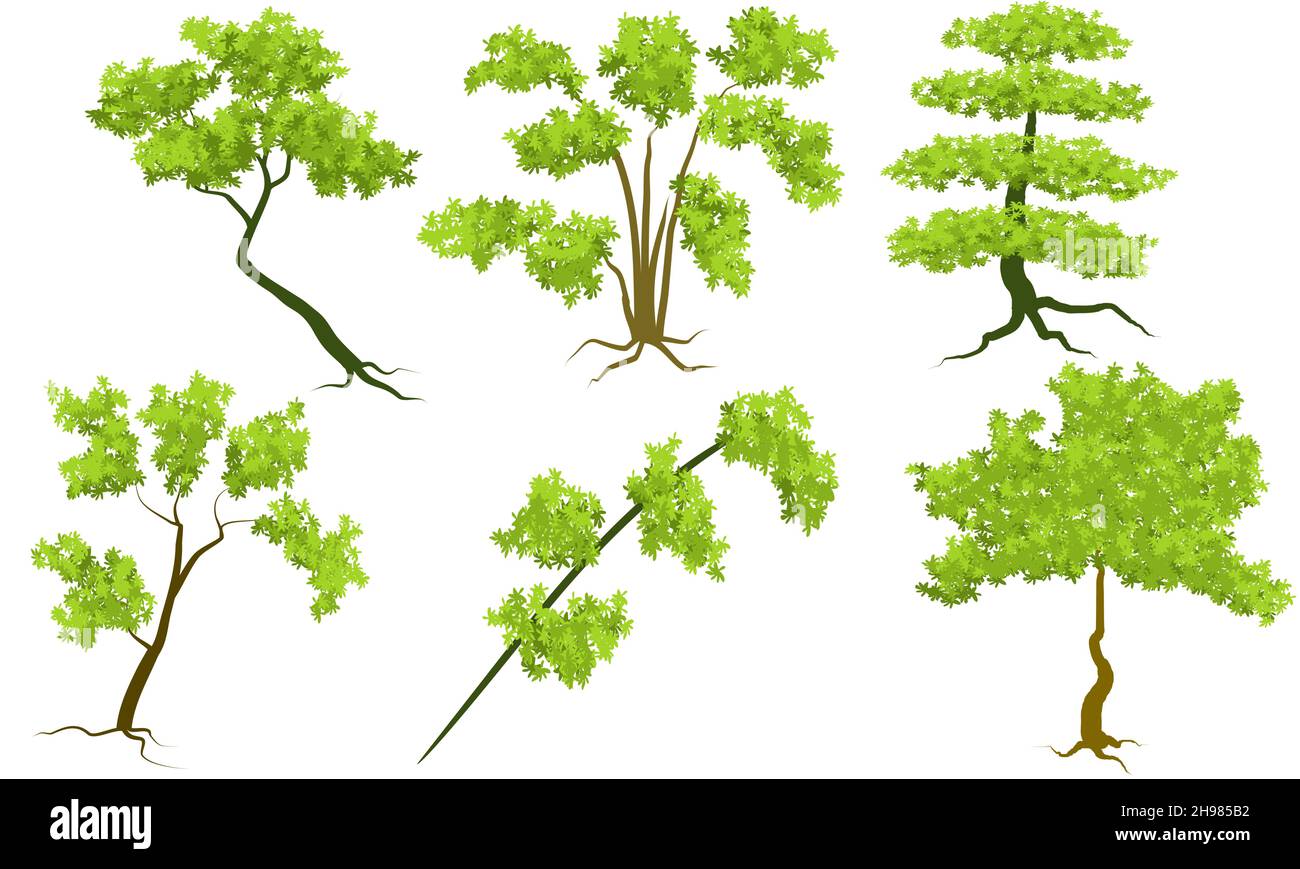 alberi vettoriali isolati su sfondo bianco, alberi vettoriali impostare componente immagine Illustrazione Vettoriale