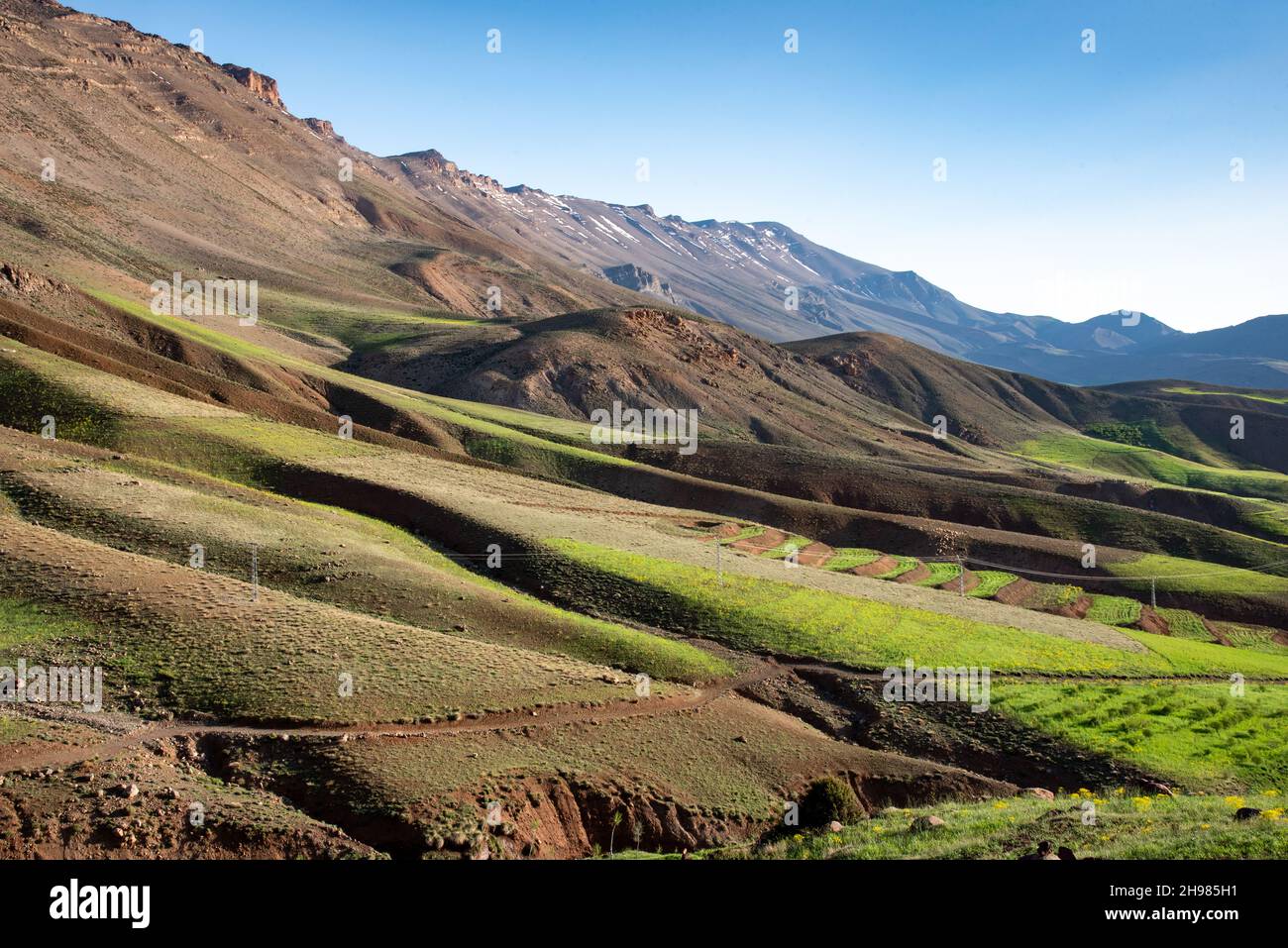 Nelle montagne dell'Atlante in Marocco. Campi terrazzati sotto montagne innevate, sul sentiero Tizi n Tirghist Foto Stock