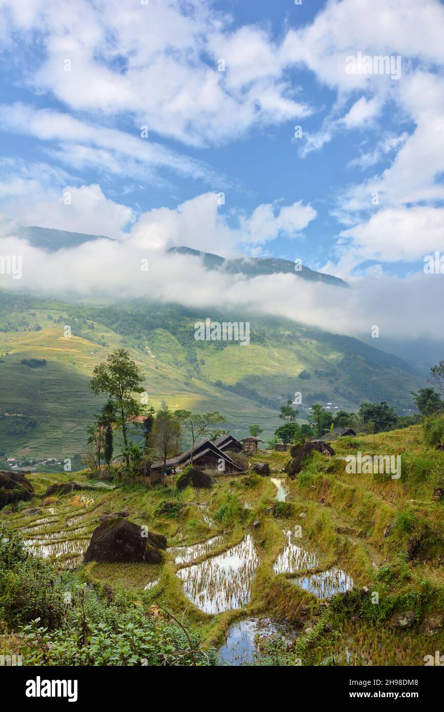 Costruzione tradizionale e terrazze di riso a Tavan, Muong Hoa Valley, Lao Cai, Vietnam Foto Stock