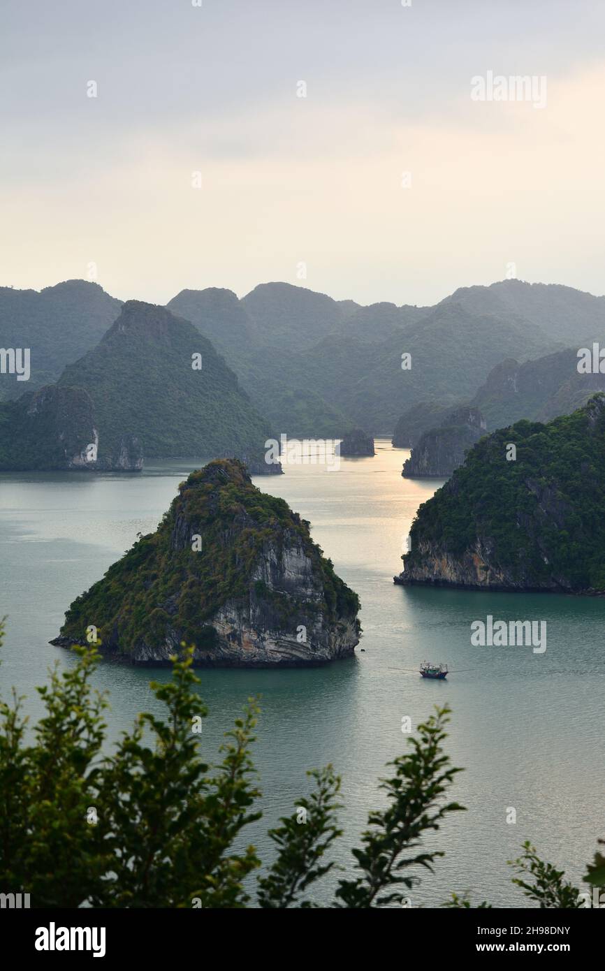 Le isole carsiche di ha Long Bay dall'isola di ti Top, Vietnam Foto Stock