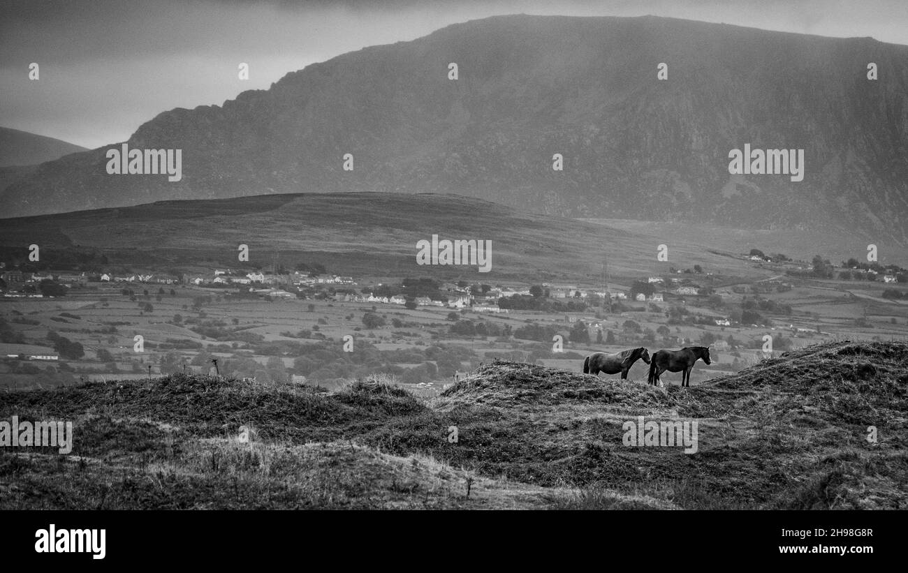 Anglesey, nel Galles Foto Stock