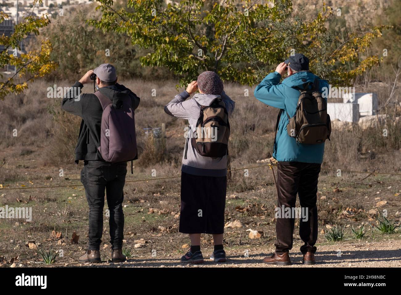 Le persone cercano la fauna selvatica nel loro comportamento naturale nella valle di Gazelle descritta come la prima riserva naturale urbana di Israele chiamata per un gregge di gazzelle della sottospecie Gazella che vivono in questa zona situata nel cuore di Gerusalemme, Israele Foto Stock