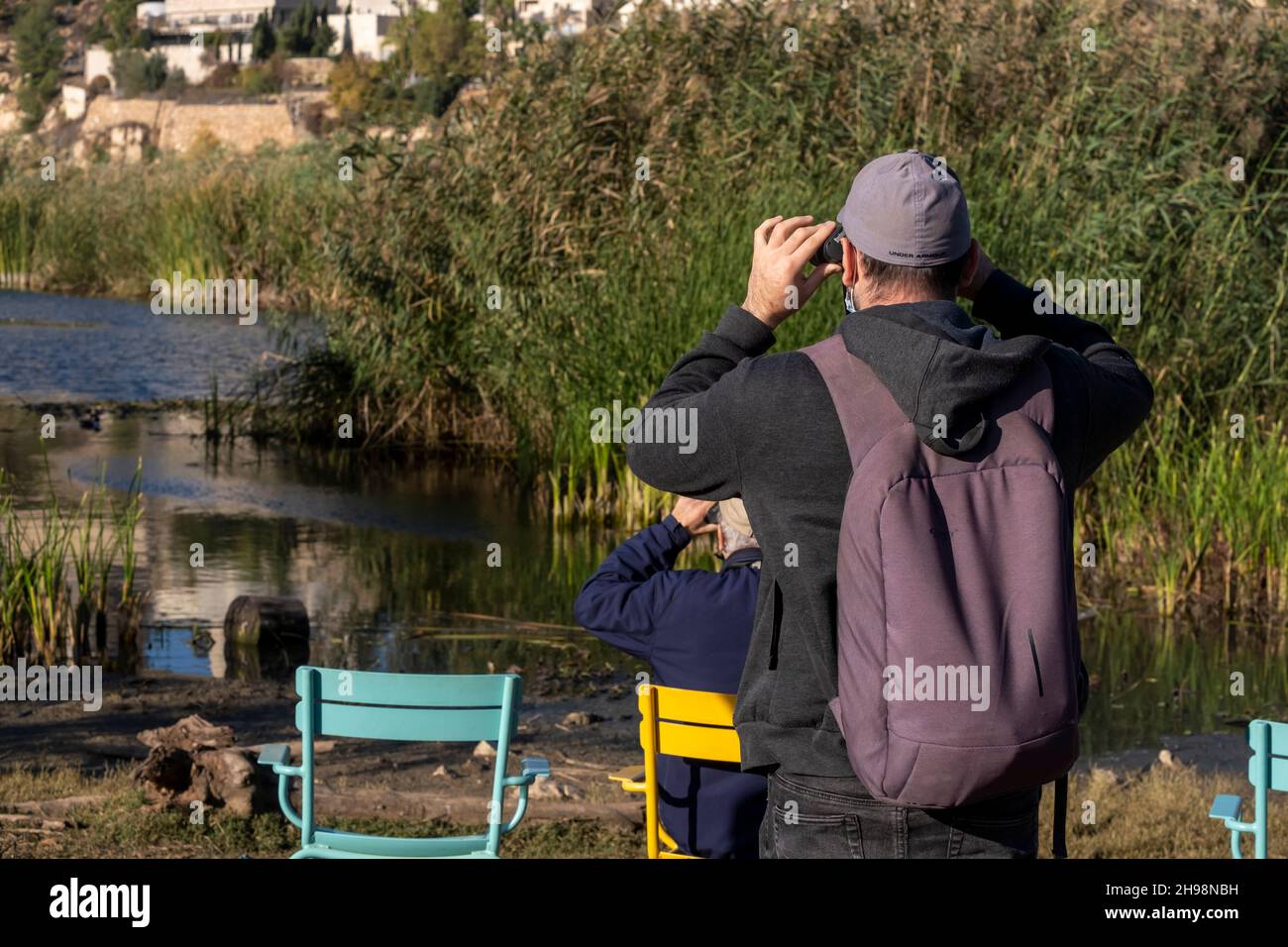 L’uomo cerca la fauna selvatica nel suo comportamento naturale nella valle di Gazelle descritta come la prima riserva naturale urbana di Israele chiamata per un gregge di gazzelle della sottospecie Gazella che vivono in quest’area situata nel cuore di Gerusalemme, Israele Foto Stock