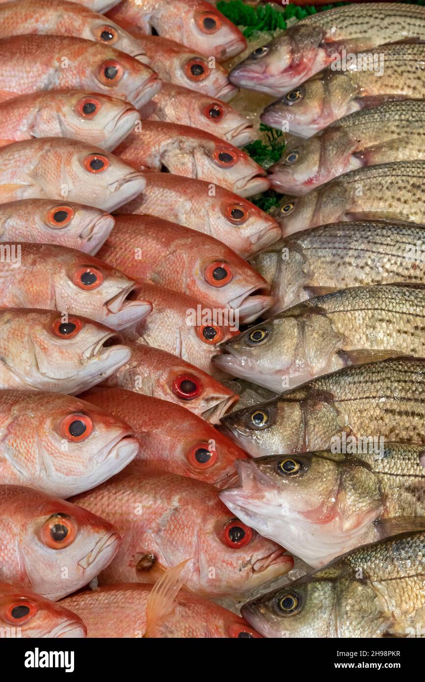 Washington, DC - Pesci in vendita al mercato municipale del pesce. Fondata nel 1805, è il più antico mercato del pesce all'aperto in continua attività dell'Unione Foto Stock