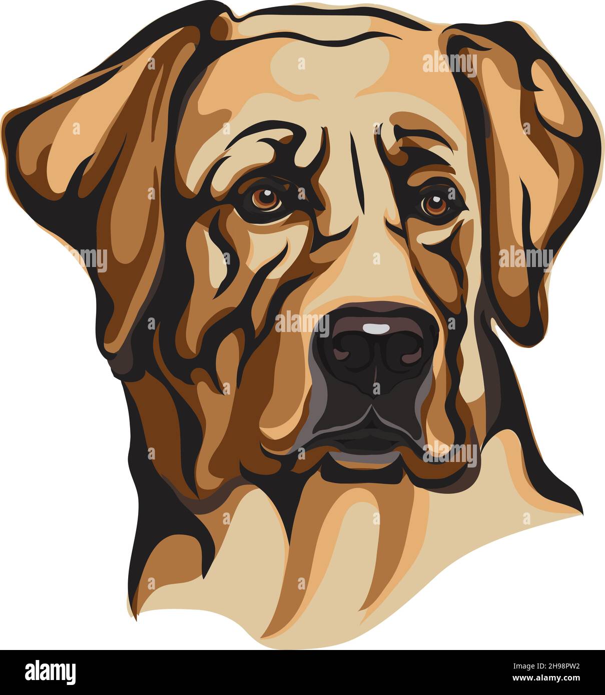 Cane, Labrador giallo, museruola di un cane, razza di cani, immagine vettoriale di un ritratto di un cane, cane, ritratto, silhouette di un cane, illustrazione vettoriale Illustrazione Vettoriale