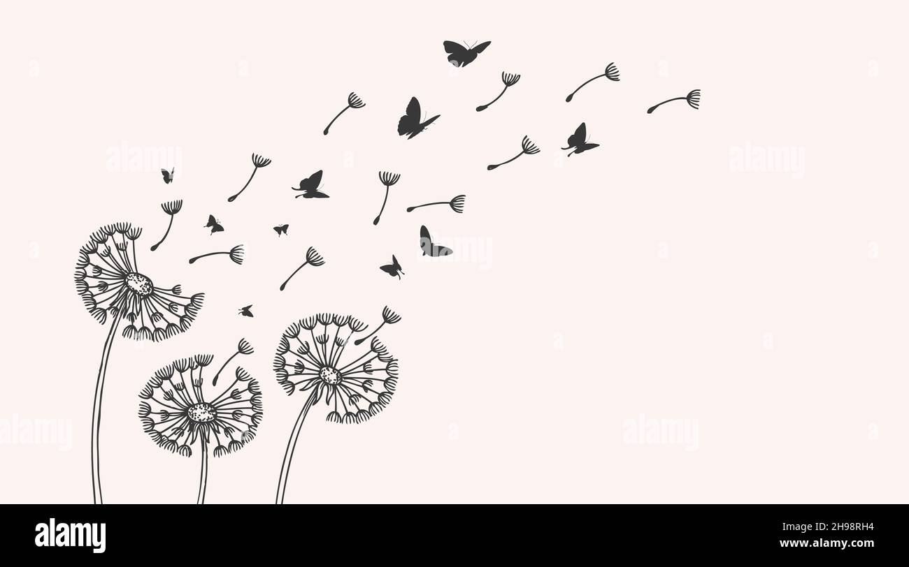 Dente di leone. Disegna i dandelioni, i semi volanti e le silhouette delle farfalle. Giardino floreale, sfondo di fiori selvatici. Metafora della libertà, illustrazione vettoriale Illustrazione Vettoriale
