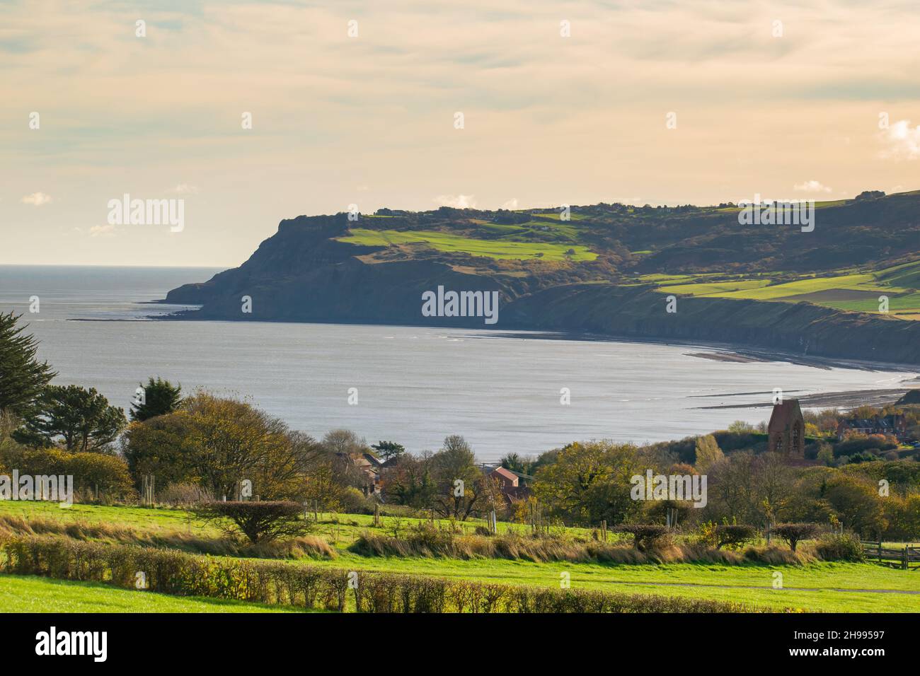 Siepi e alberi su un campo verde a Robin Hood's Bay nel North Yorkshire Inghilterra Foto Stock