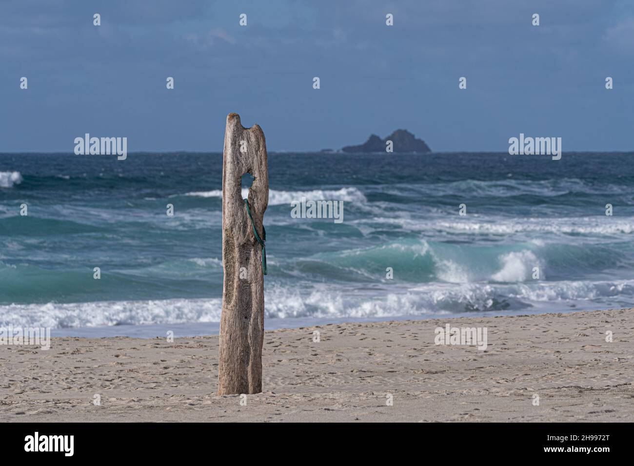 Un vecchio pezzo di legno grigio decaduto che sporge dalla sabbia sulla spiaggia di Sennen Cove in Cornovaglia con le Isole Brison in lontananza. Foto Stock