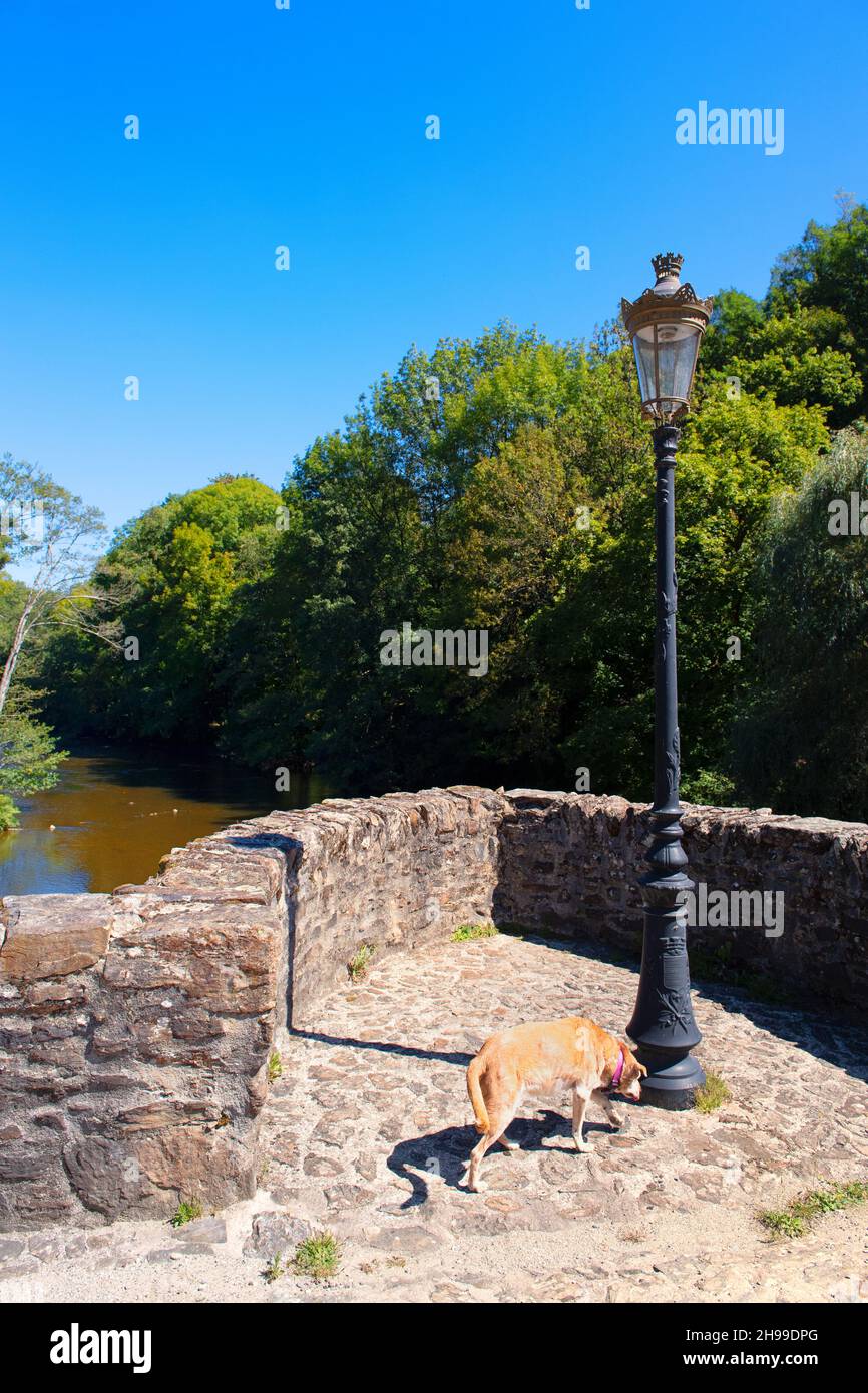 Vecchio ponte sul fiume Vezere in Francia Foto Stock