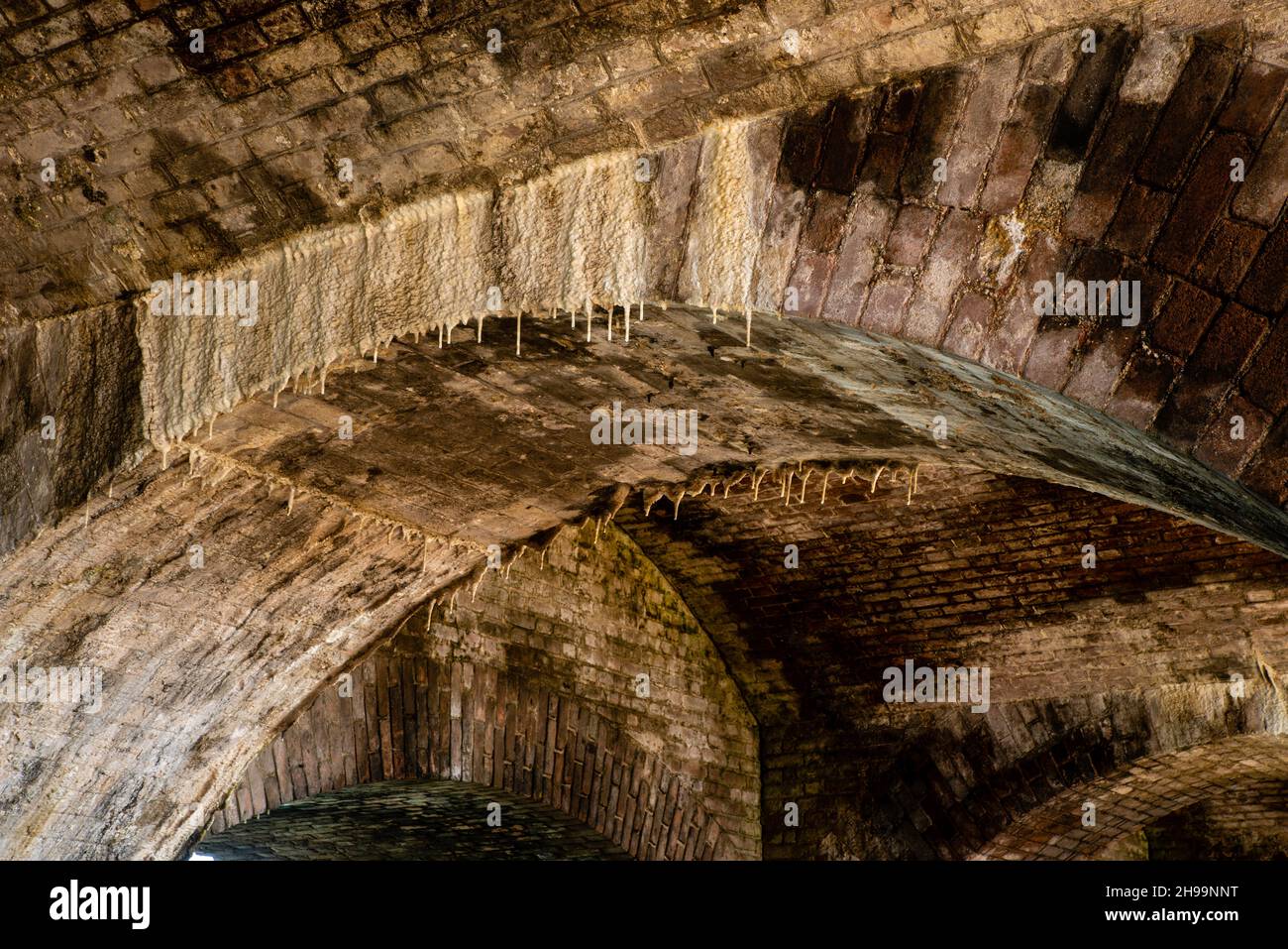 Casemates e Hall. Dry Tortugas National Park, nei pressi di Key West, Florida, USA. Foto Stock