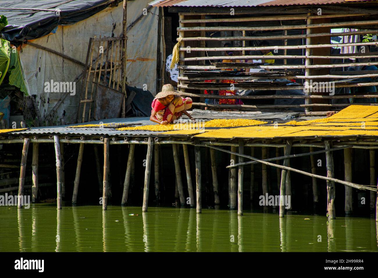 Un lavoratore adulto capovolge bene i gnocchi di lenticchie essiccate in modo che rimanga poca umidità. Foto Stock